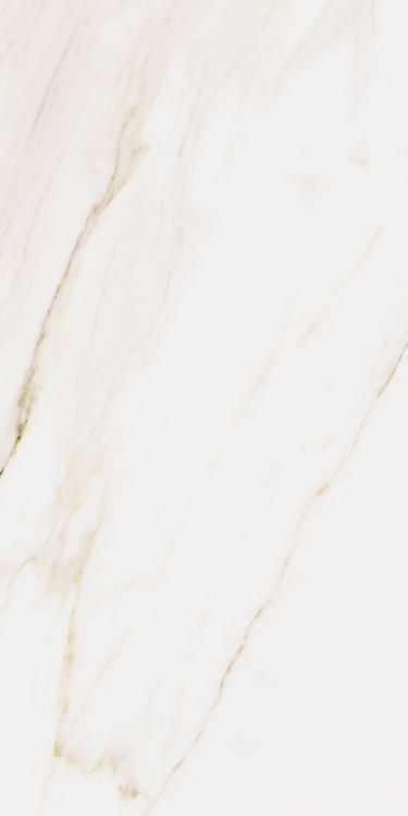 Omnia Calacatta Levigato 12 x 24